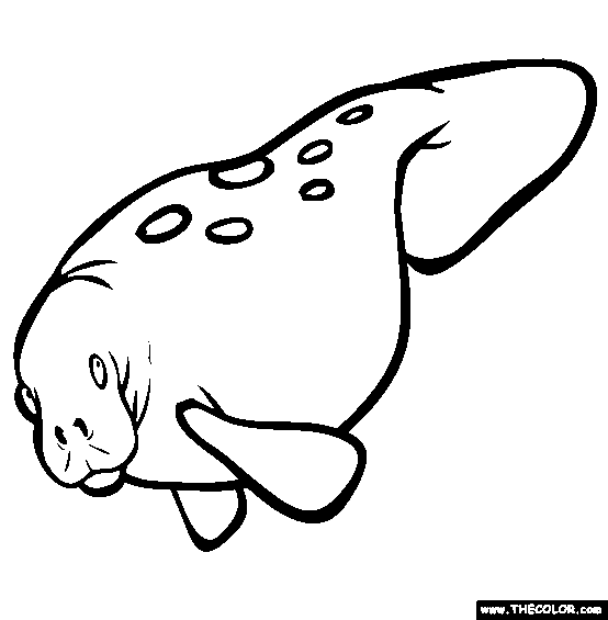 Manatee Coloring Page