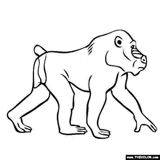 Mandrill Monkey Coloring Page