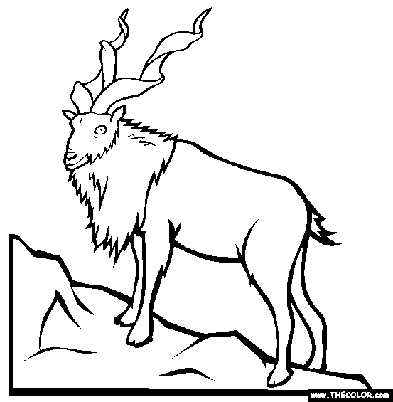 Markhor Coloring Page