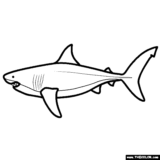 Megalodon Coloring Page