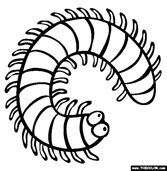 Millipede Coloring Page