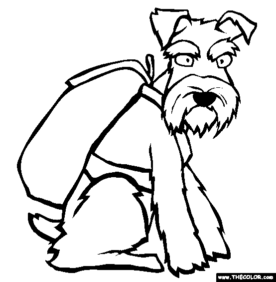 Miniature Schnauzer Coloring Page