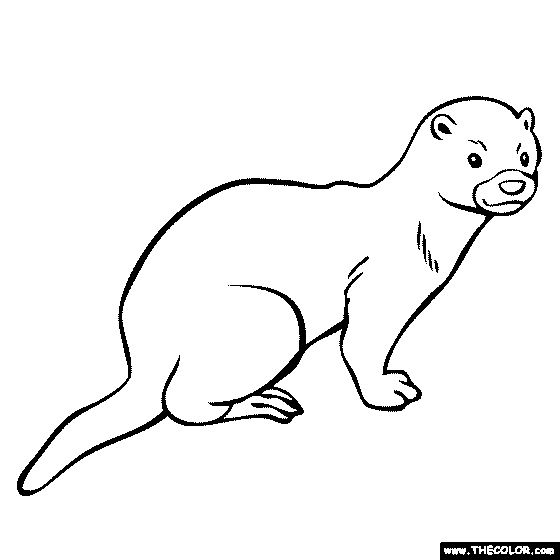 Mink Coloring Page