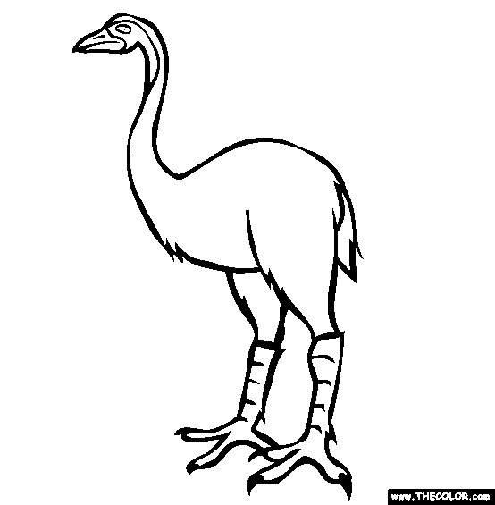 Moa Coloring Page