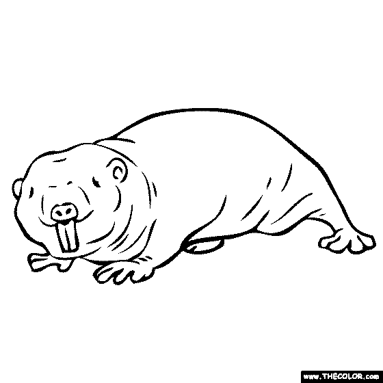 Mole Rat Coloring Page