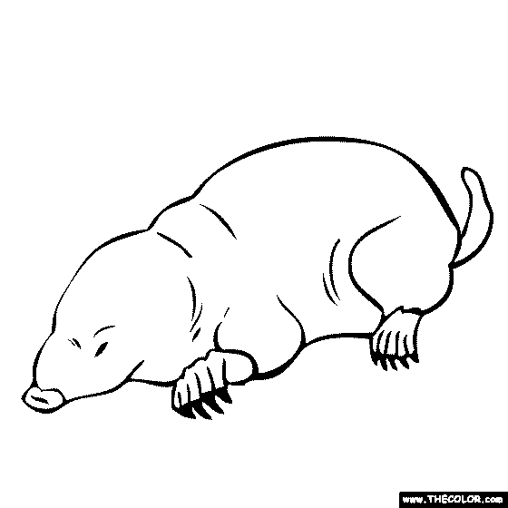 Mole Coloring Page