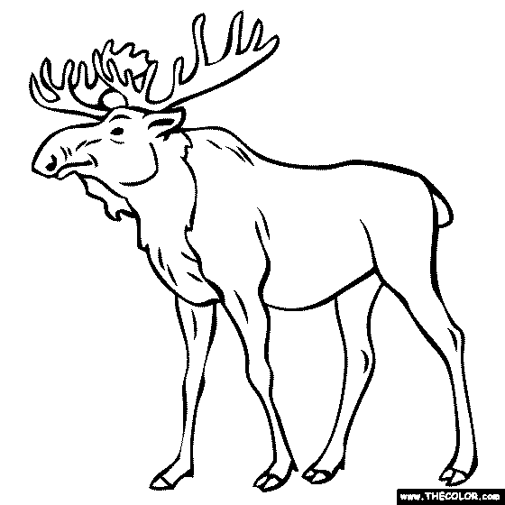 Moose Coloring Page