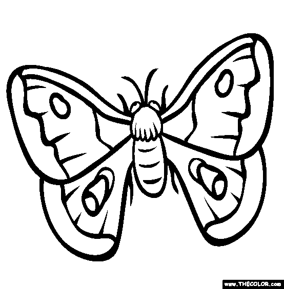 Moth Coloring Page