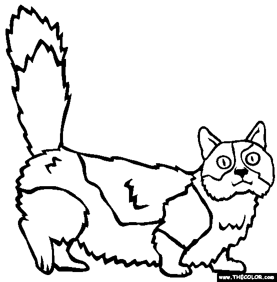 Munchkin Cat Online Coloring Page