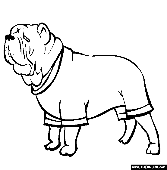 Neapolitan Mastiff Coloring Page