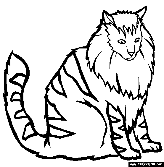 Norwegian Forest Cat Online Coloring Page