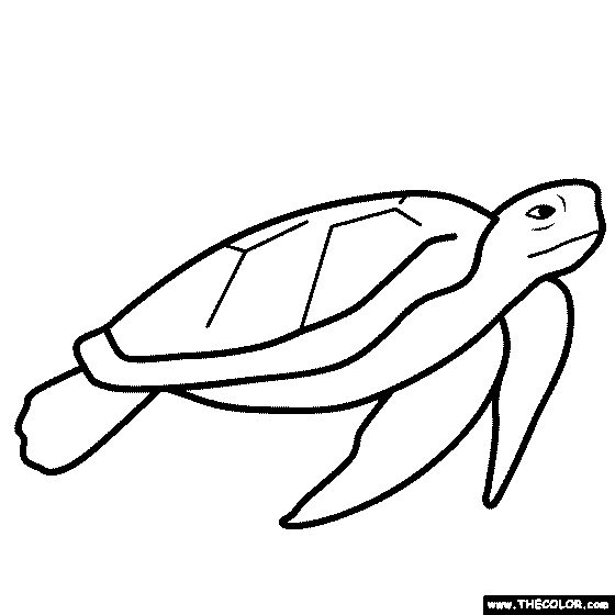 Ocean Turtle Coloring Page