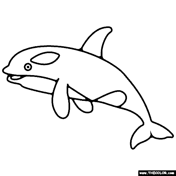 Orca Coloring Page