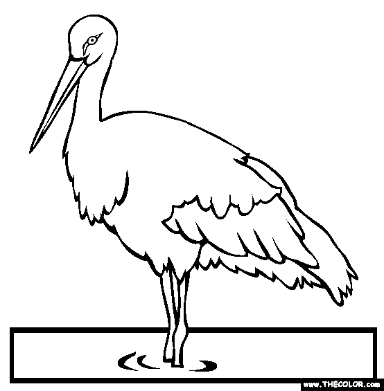 Oriental Stork Coloring Page