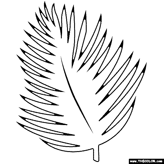 Palm Leaf Coloring Page