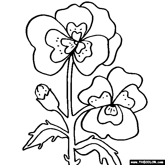 Pansy Flower Coloring Page | Color Pansies