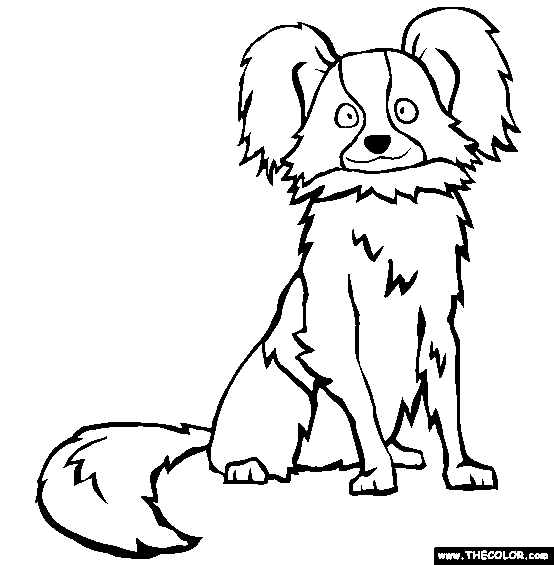 Papillon Coloring Page