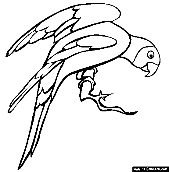 Perched Parakeet Coloring Page