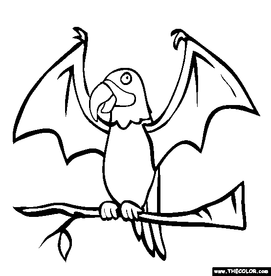 Parrot Bat Coloring Page