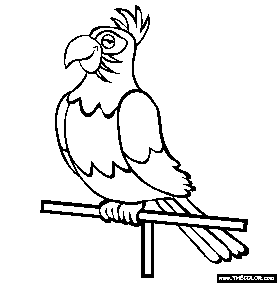 Perched Parrot Coloring Page