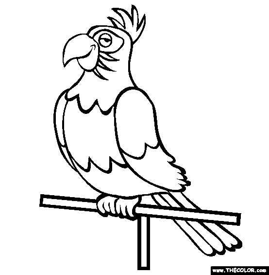 Opila Bird coloring page - Download, Print or Color Online for Free