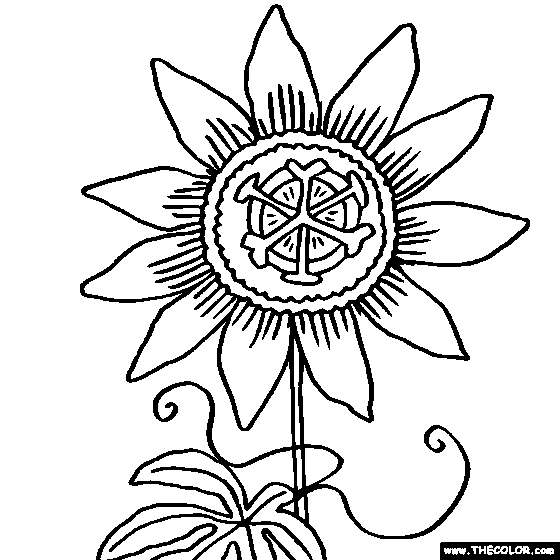 Passion Flower, Passiflora Online Coloring Page