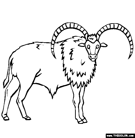 Pelorovis Coloring Page