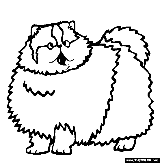 Persian Cat Online Coloring Page