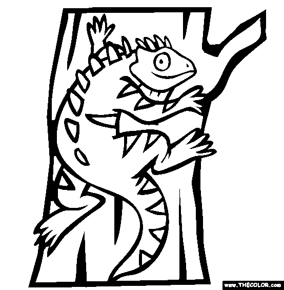 57 Iguana Animal Coloring Pages  Free