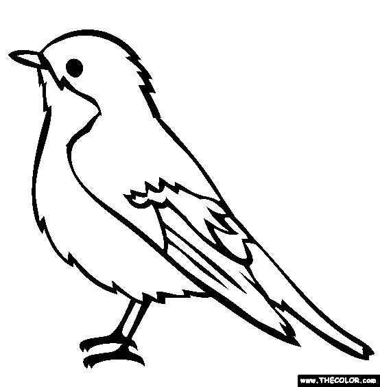 Pied Flycatcher Coloring Page