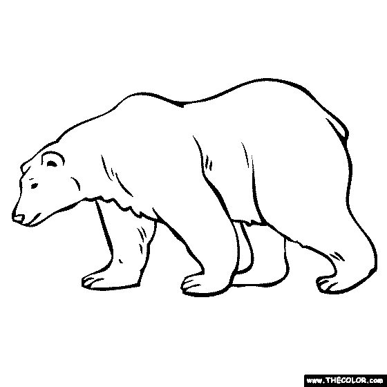 Polar Bear Coloring Page