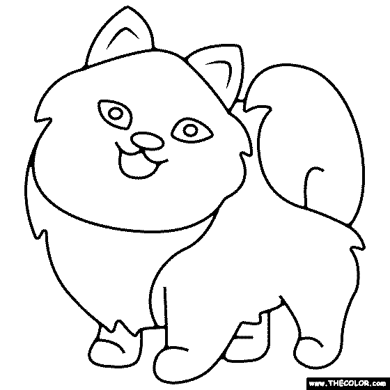 Pomeranian Dog Coloring Page