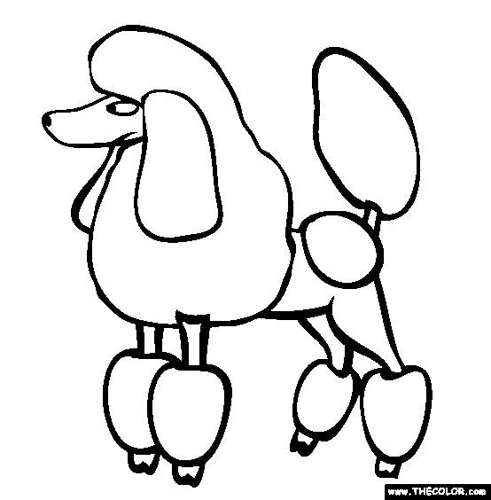 Poodle Coloring Page