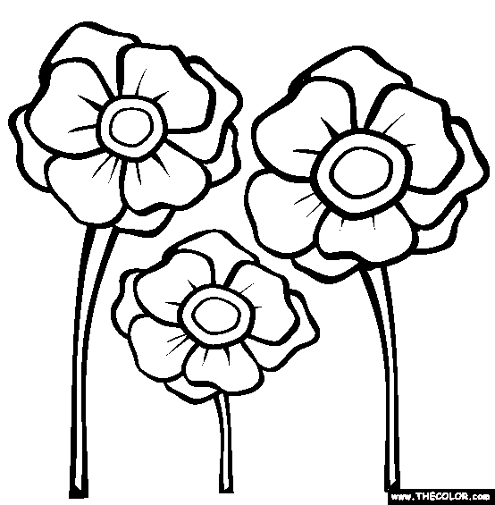 Poppies Coloring Page