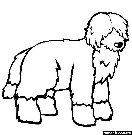 Portuguese Water Dog Coloring Page