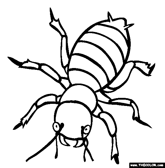 Potato Bug Coloring Page