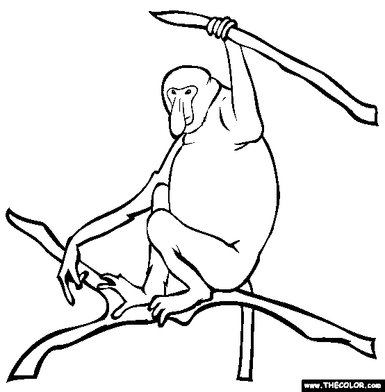 Proboscis Monkey Coloring Page