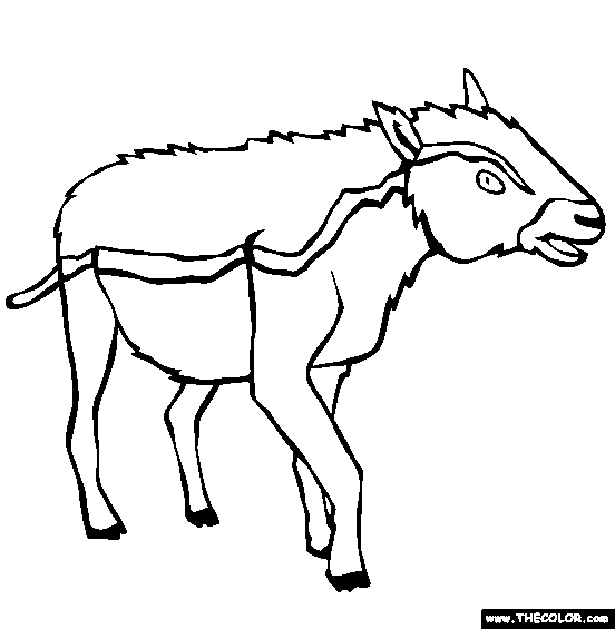 Propalaeotherium Coloring Page