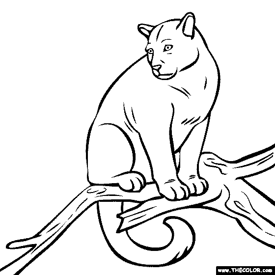 Puma Coloring Page