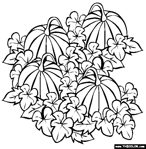 Pumpkin Patch Coloring Page