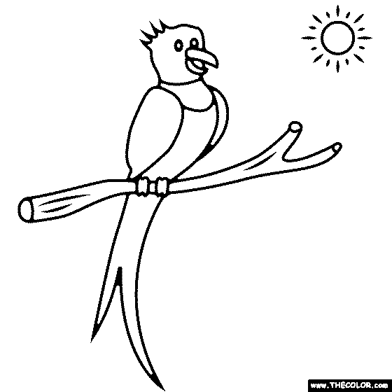 Quetzal Coloring Page