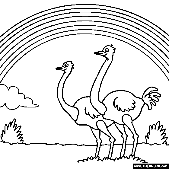 Rainbow and Ostrich Online Coloring Page