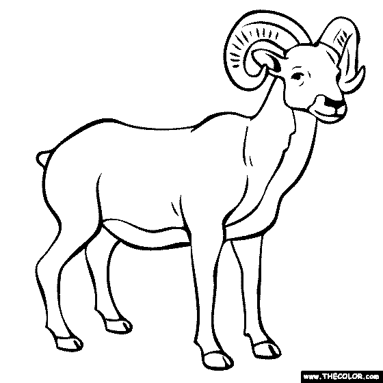Ram Coloring Page