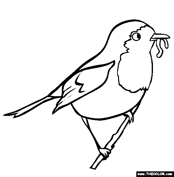 Robin Coloring Page