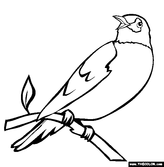 Perched Robin Coloring Page
