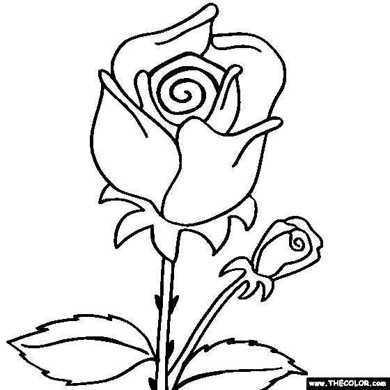 Rose Flower Coloring Page