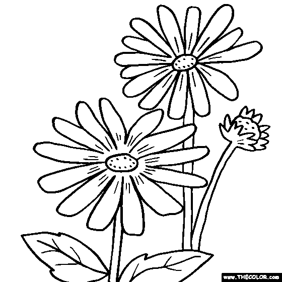 Rudbeckia Flower Coloring Page