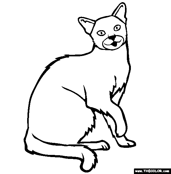 Russian Blue Breed Cat Online Coloring Page