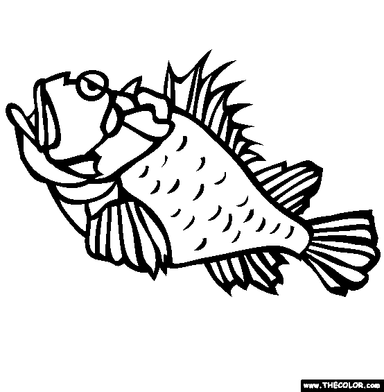 Scorpion Fish2 Coloring Page