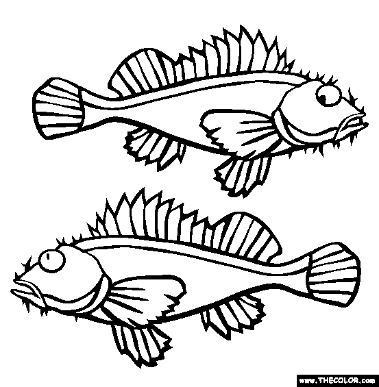 Scorpionfish Coloring Page